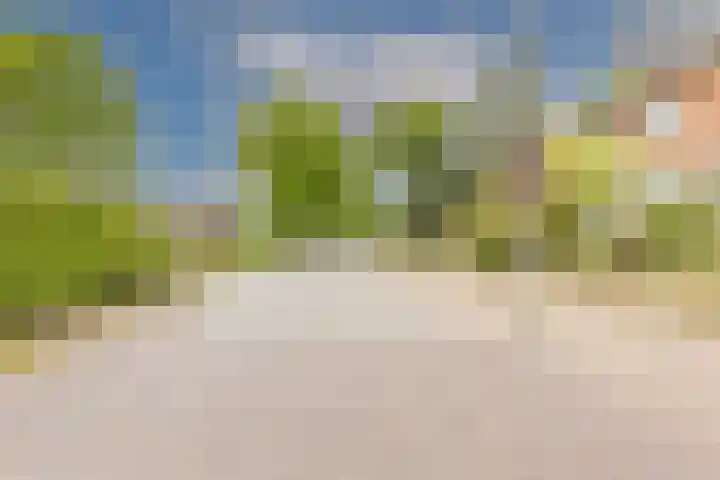 Clarionlaan 1 Santpoort-Zuid thumbnail 7