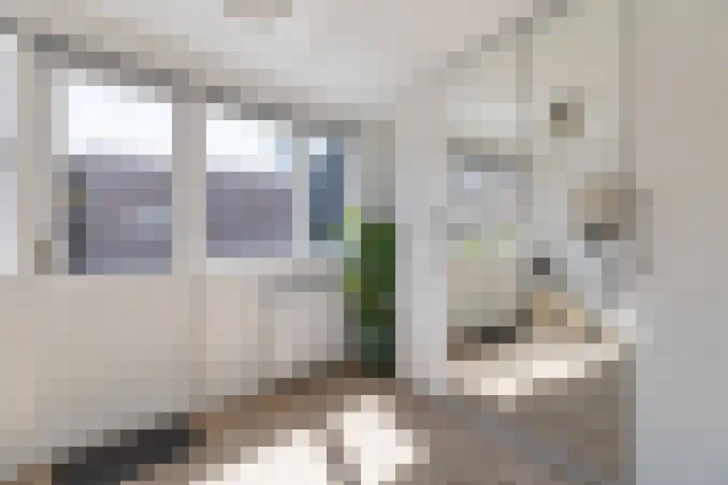Clarissenbuurt 41 Alkmaar thumbnail 27