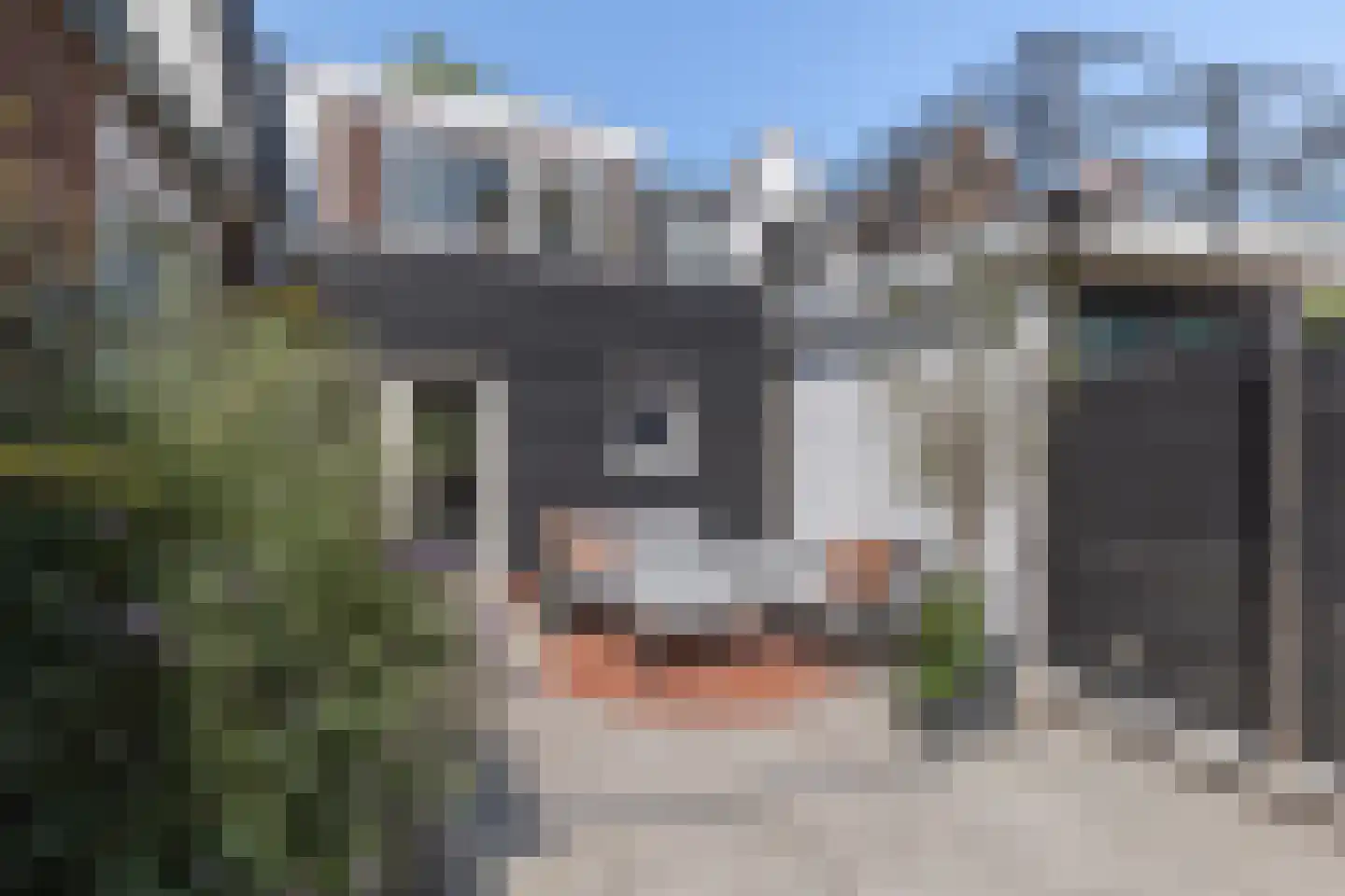 Clarissenbuurt 41 Alkmaar thumbnail 32