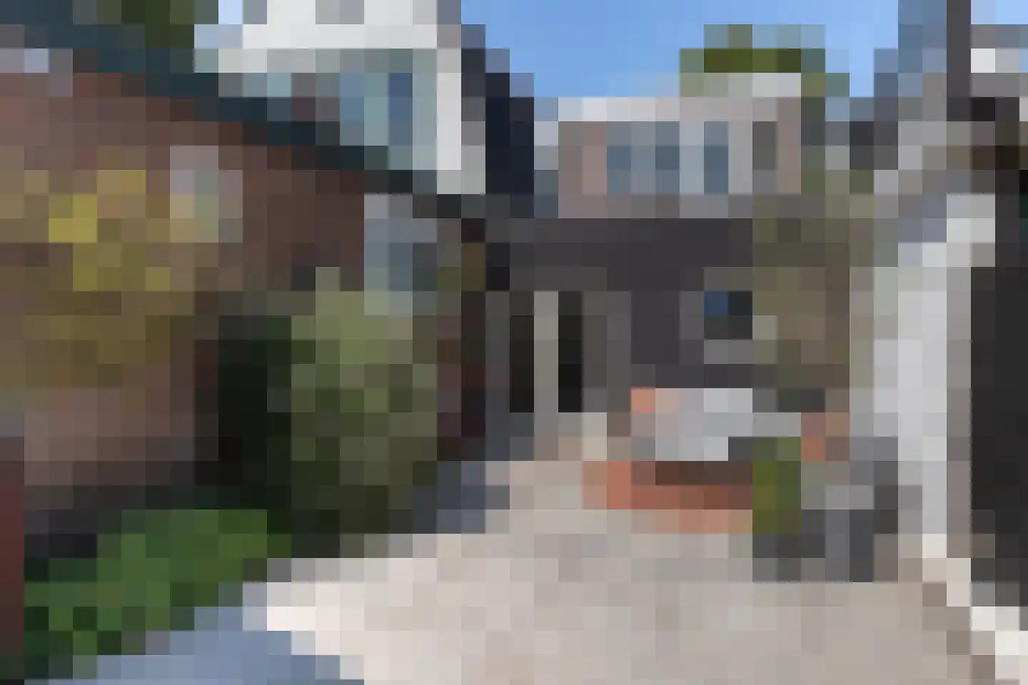 Clarissenbuurt 41 Alkmaar thumbnail 4