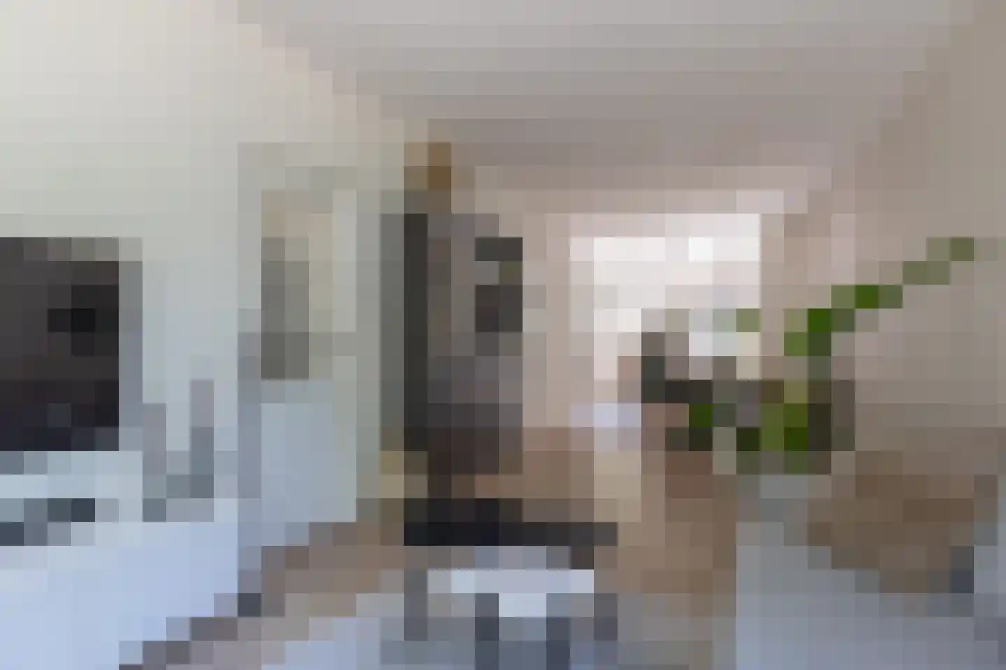 Clarissenbuurt 41 Alkmaar thumbnail 7