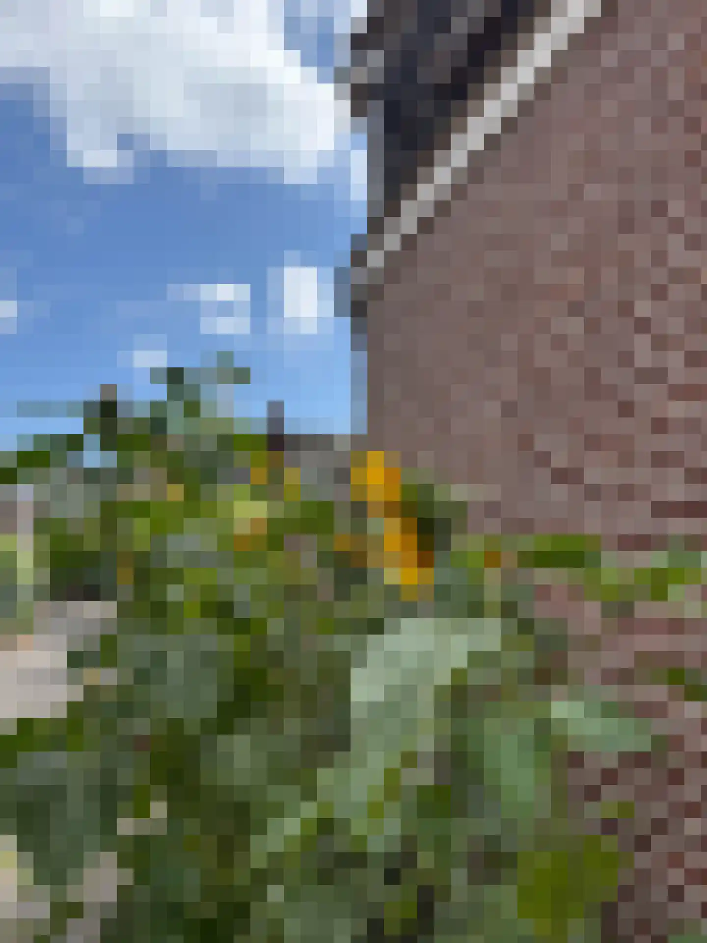 Clarissenbuurt 49 Alkmaar thumbnail 41