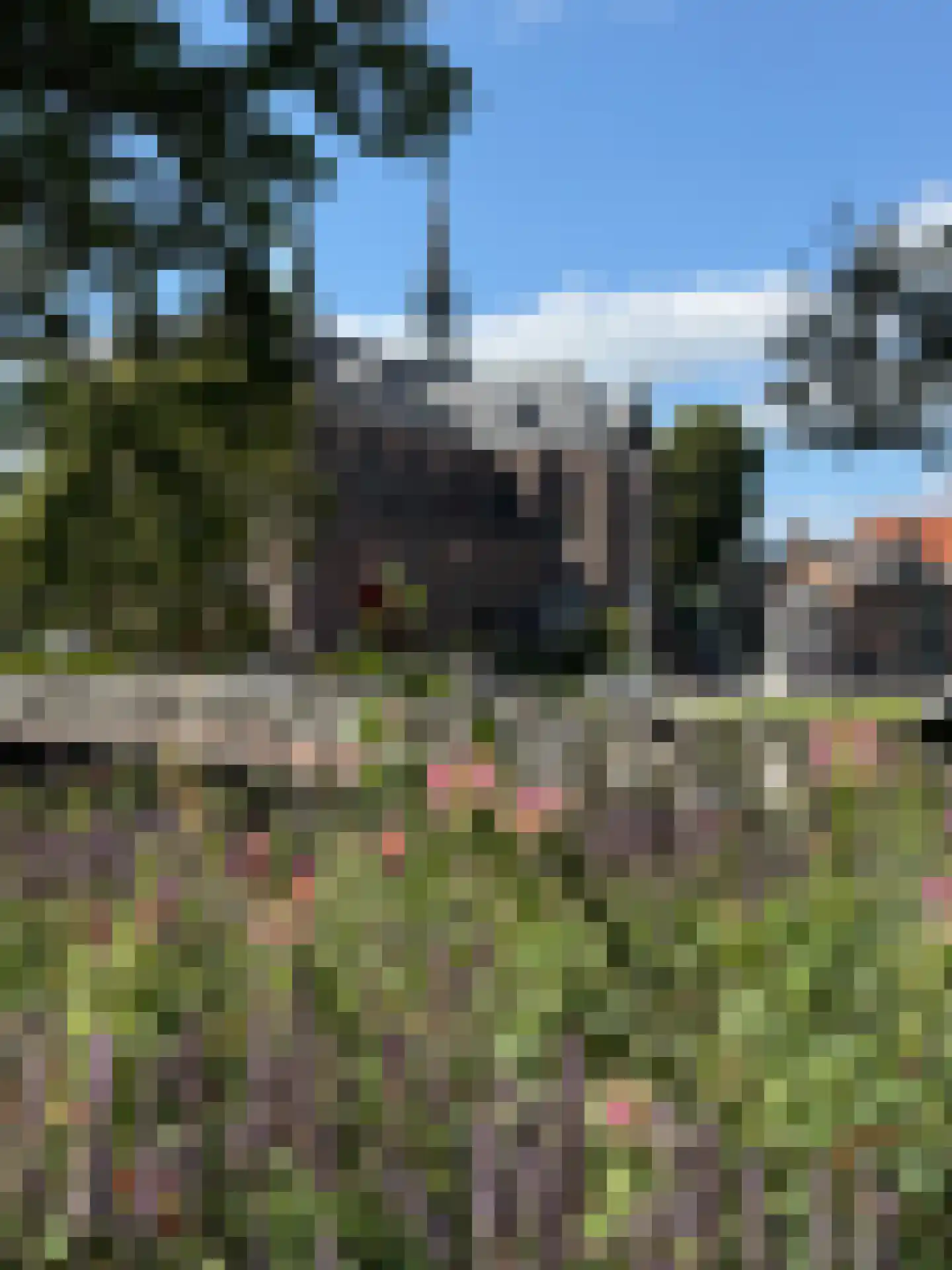 Clarissenbuurt 49 Alkmaar thumbnail 46