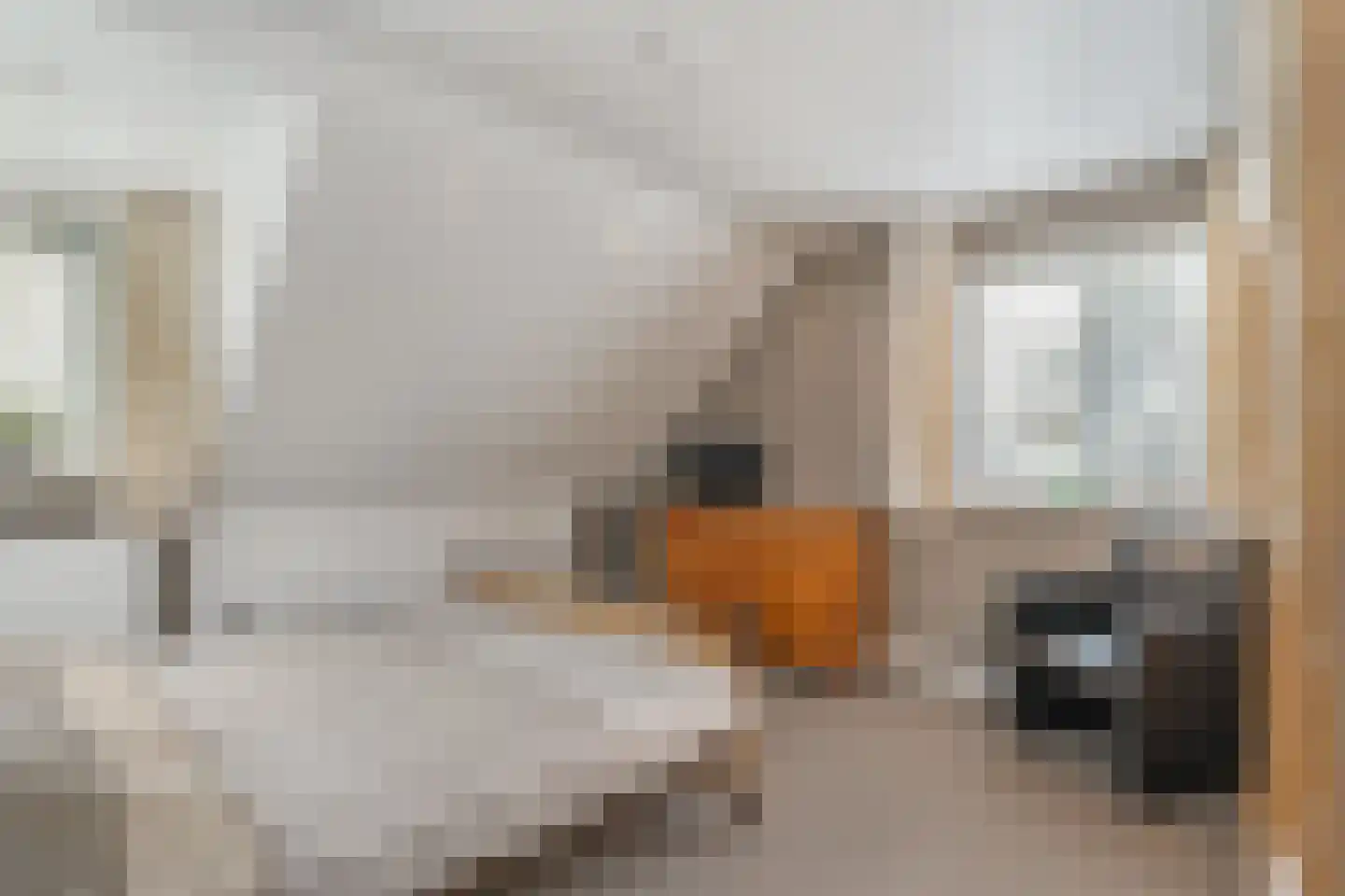 Clarissenhoeve 21 Berlicum thumbnail 20