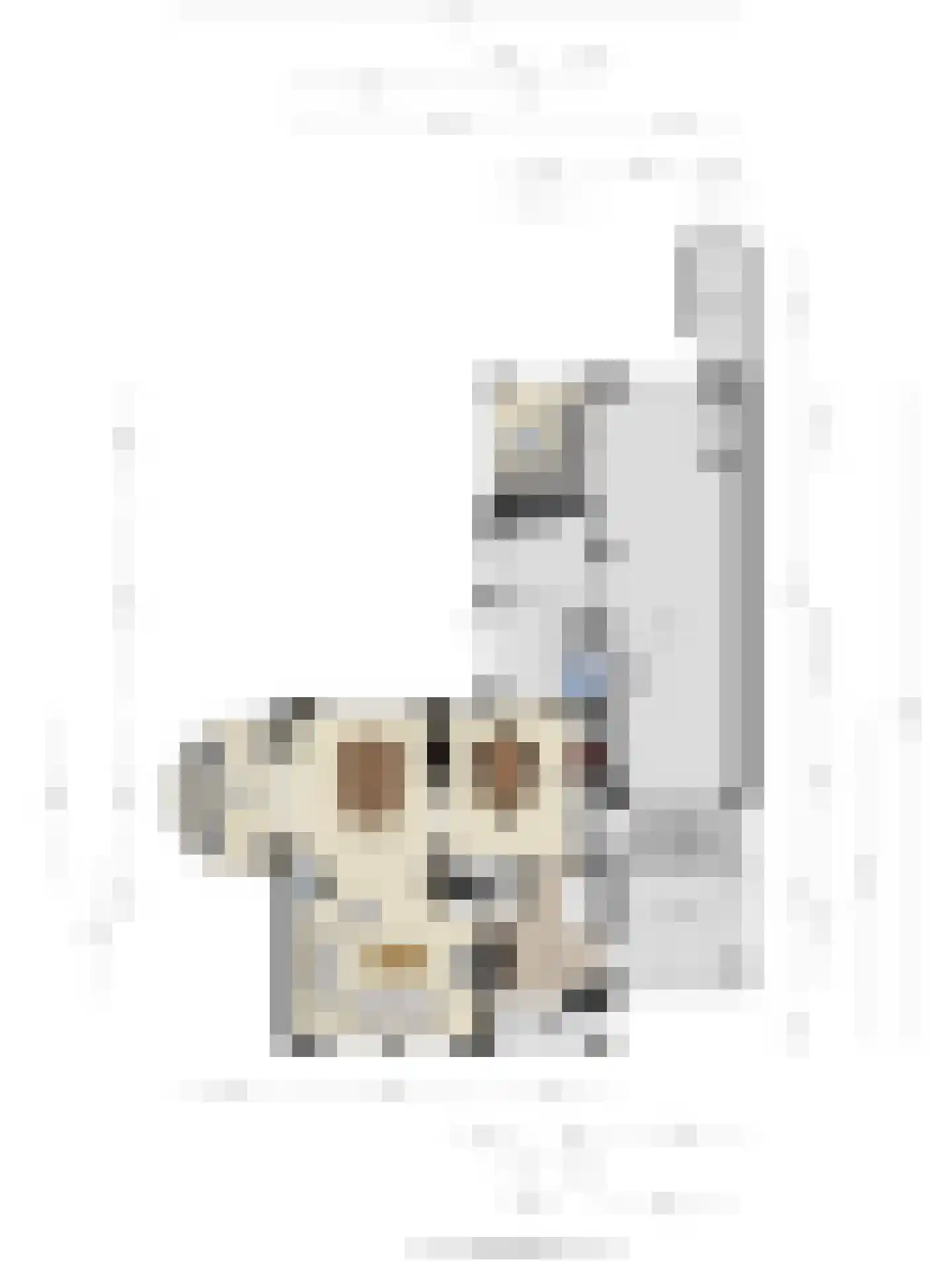 Clarissenhoeve 21 Berlicum thumbnail 44