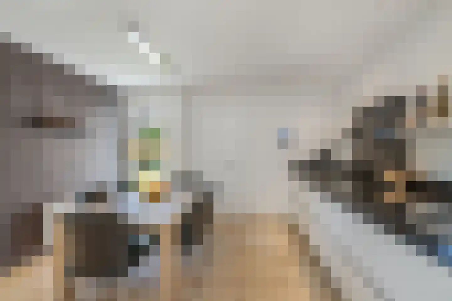 Clarissenhoeve 21 Berlicum thumbnail 5