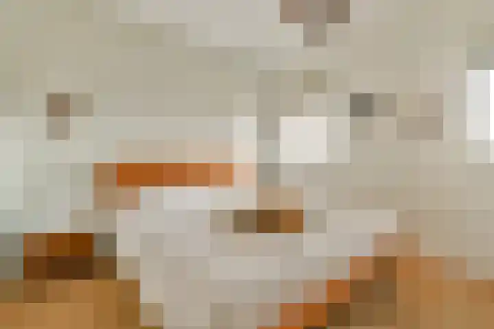 Clarissenhof 1 Gouda thumbnail 12