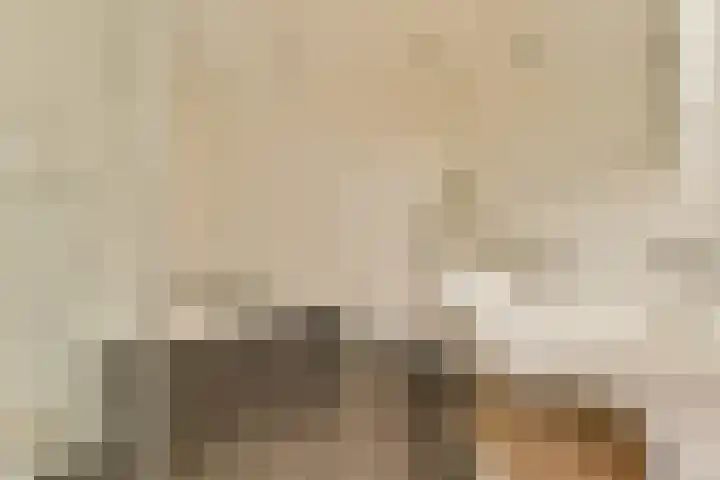 Clarissenhof 1 Gouda thumbnail 14
