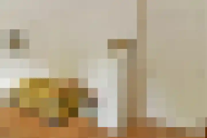 Clarissenhof 1 Gouda thumbnail 17