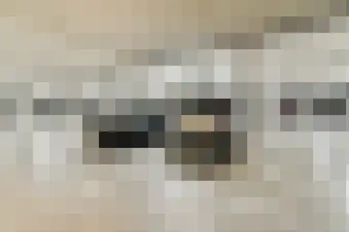 Clarissenhof 1 Gouda thumbnail 20