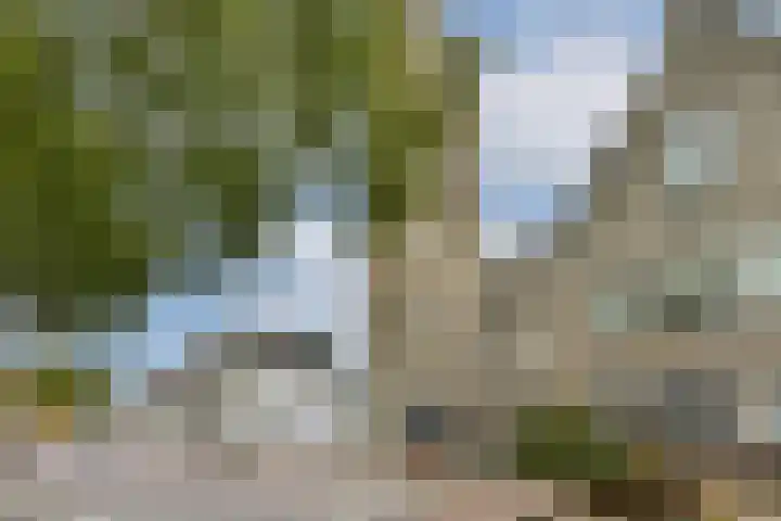 Clarissenhof 1 Gouda thumbnail 22