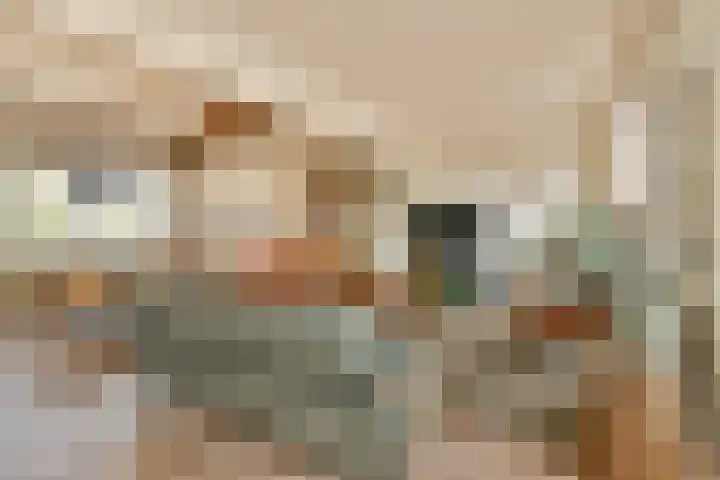 Clarissenhof 1 Gouda thumbnail 6