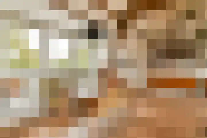 Clarissenhof 1 Gouda thumbnail 7