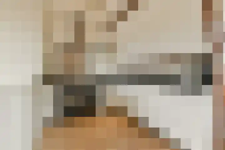 Clarissenhof 1 Gouda thumbnail 8