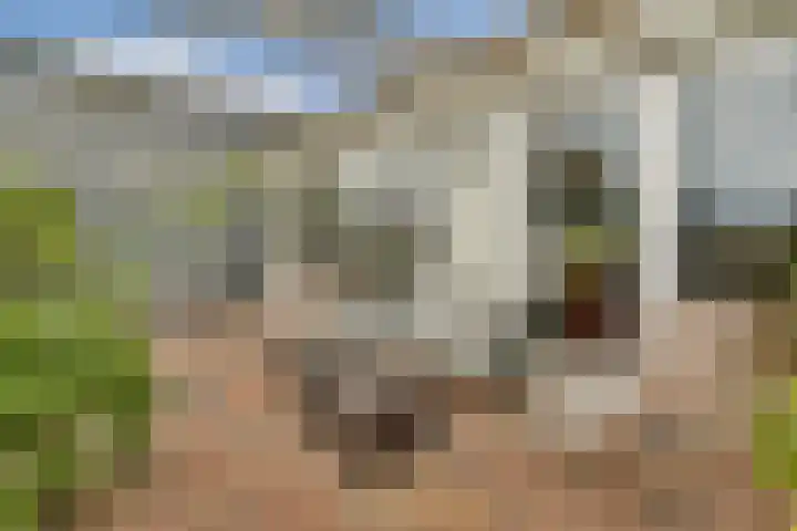 Clarissenhof 1 Gouda thumbnail 9