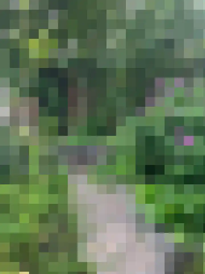 Clarissenhof 12 Gouda thumbnail 21