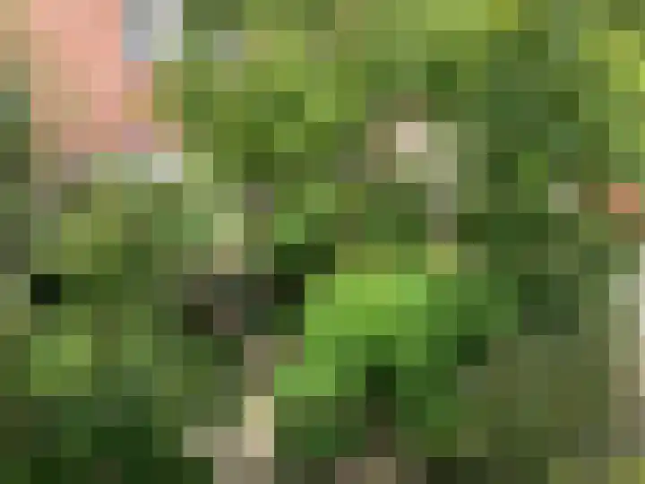 Clarissenhof 12 Gouda thumbnail 22