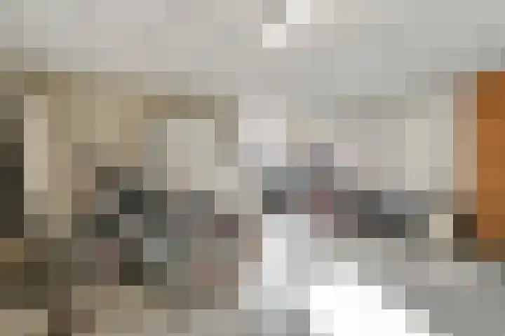 Clarissenhof 12 Gouda thumbnail 46