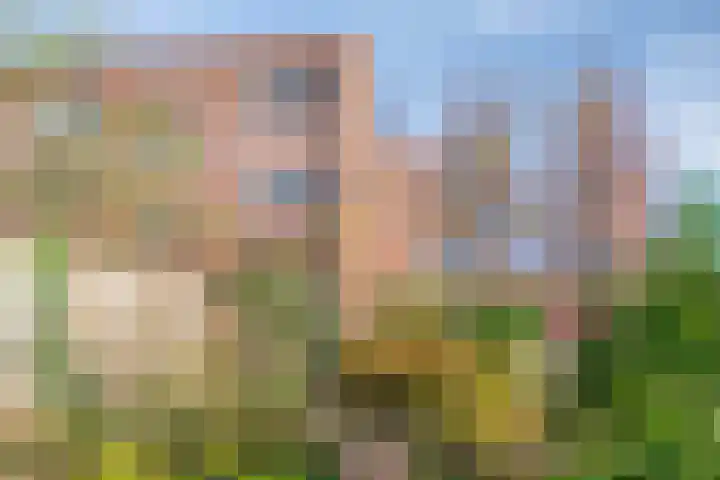Clarissenhof 12 Gouda thumbnail 5