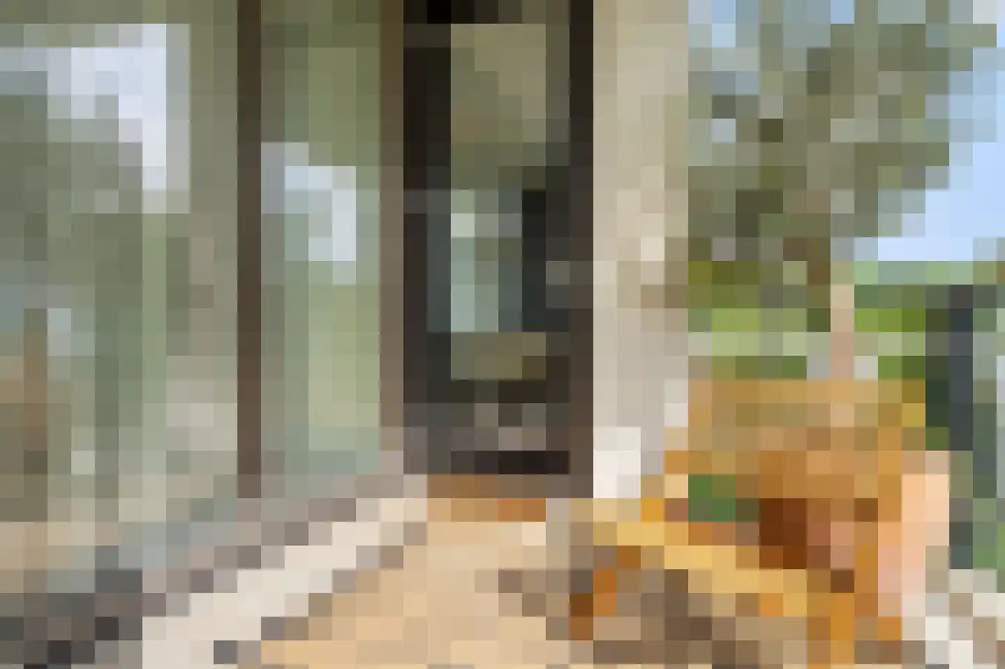 Clarissenhof 265 Tilburg thumbnail 14