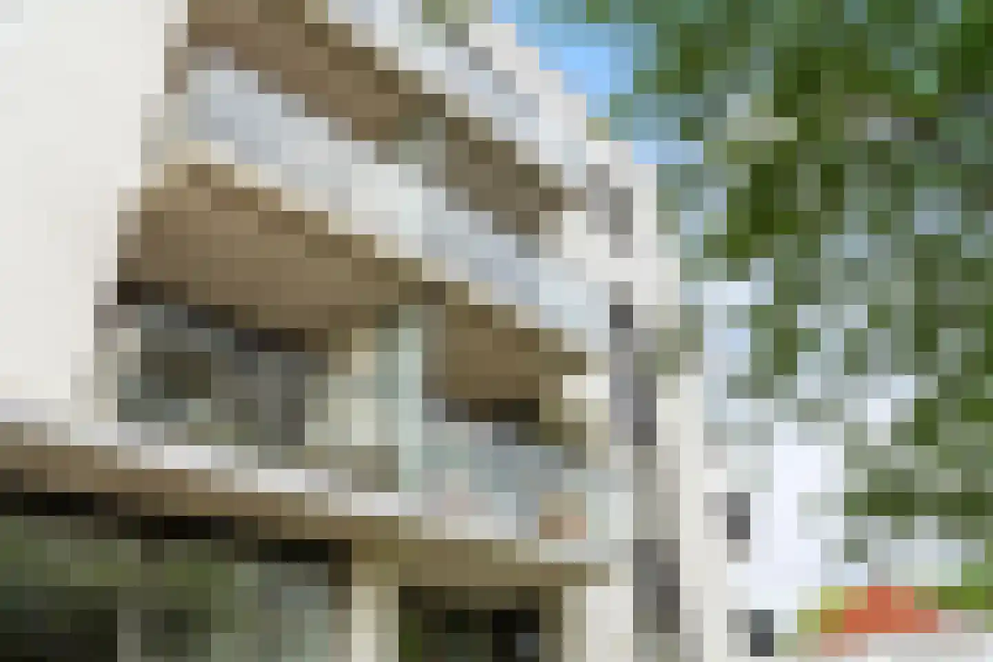 Clarissenhof 265 Tilburg thumbnail 30