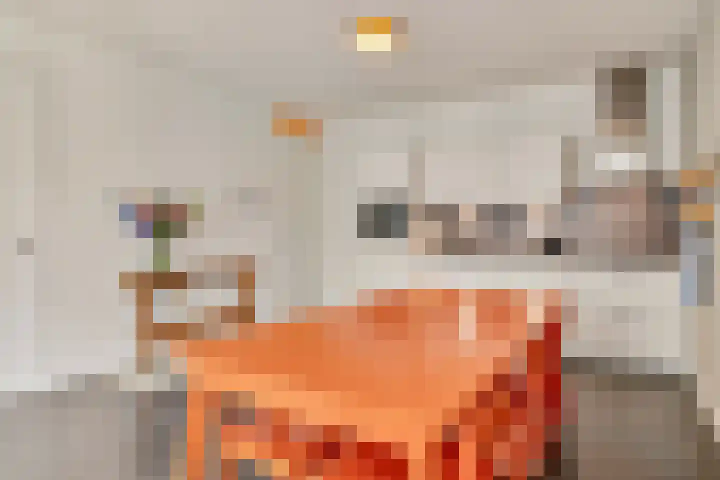 Clarissenhof 265 Tilburg thumbnail 7