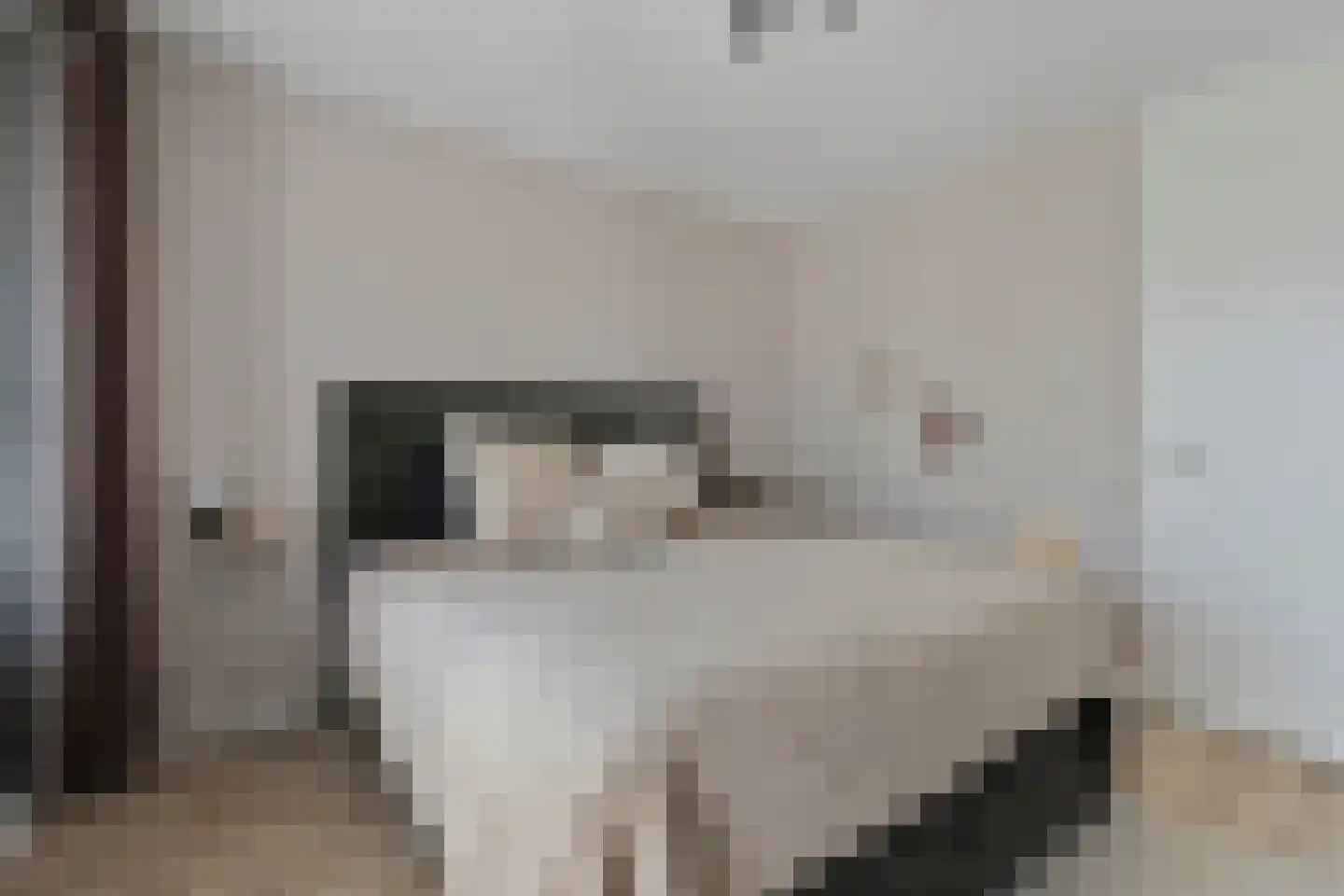 Clarissenhof 275 Tilburg thumbnail 13