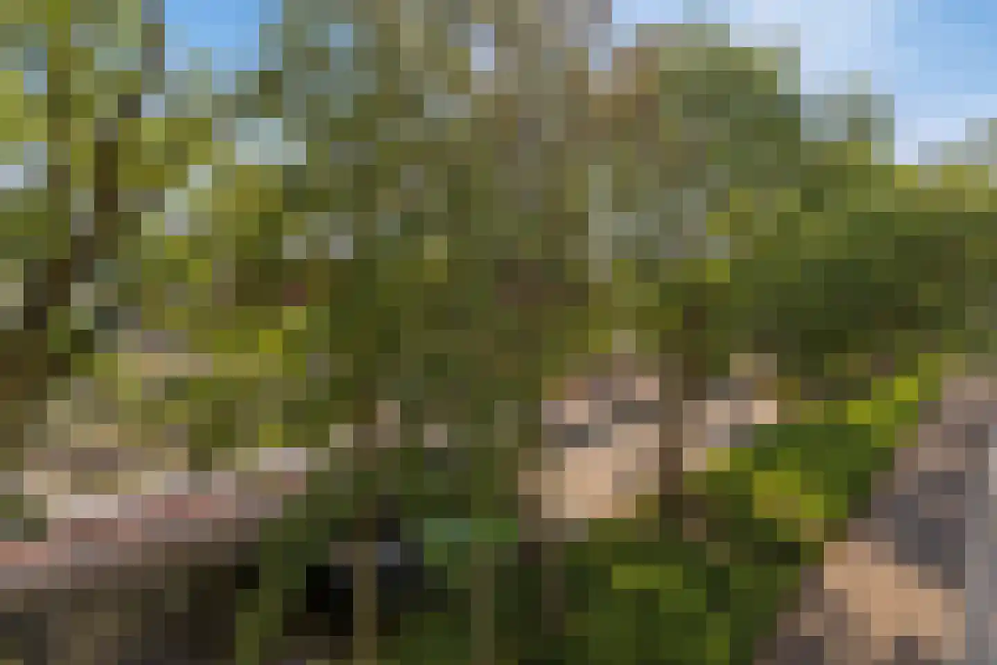 Clarissenhof 275 Tilburg thumbnail 24