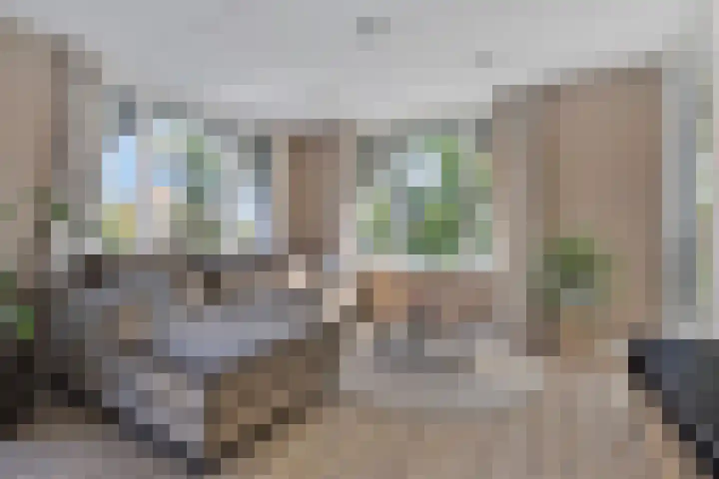 Clarissenhof 275 Tilburg thumbnail 4