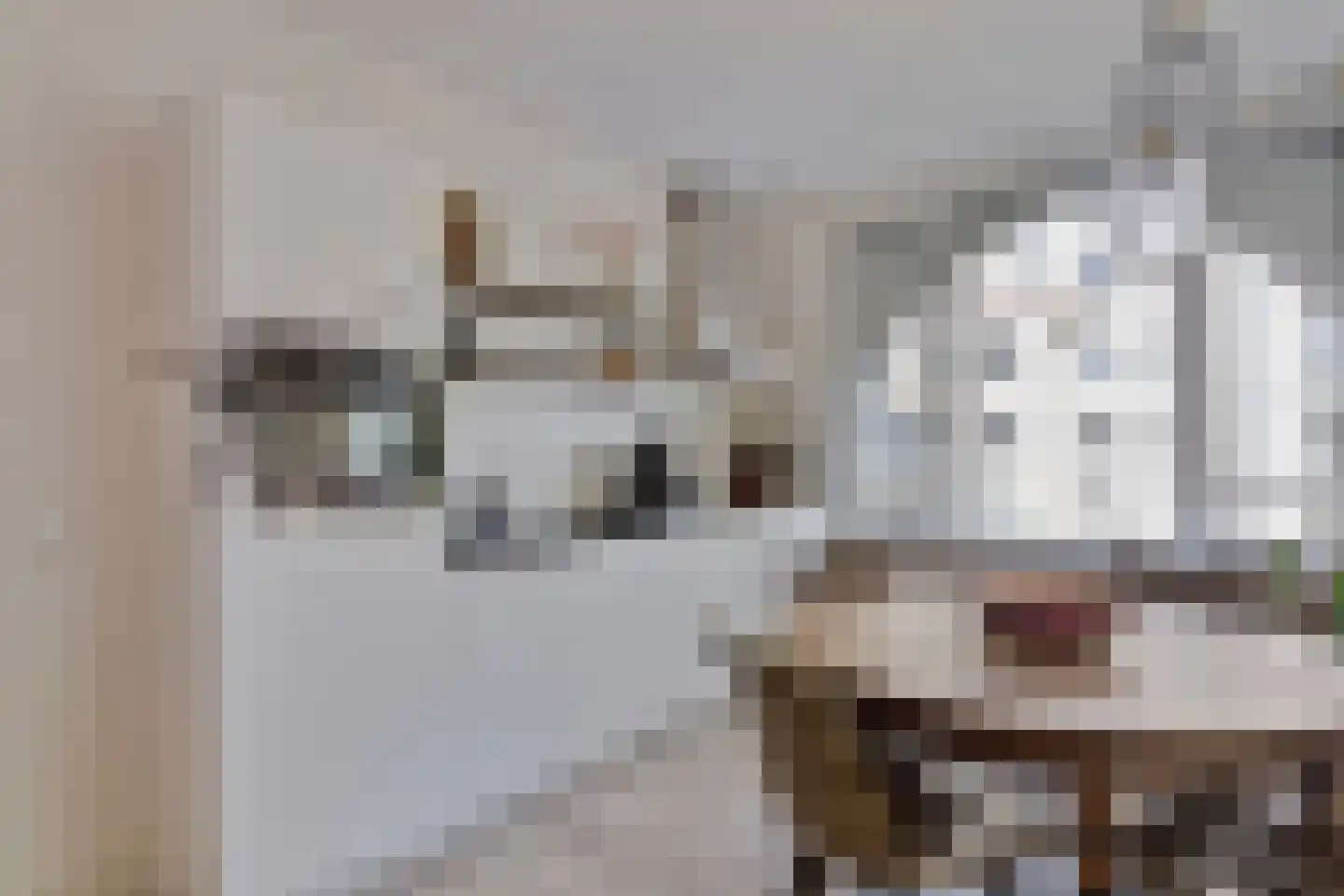 Clarissenhof 275 Tilburg thumbnail 6