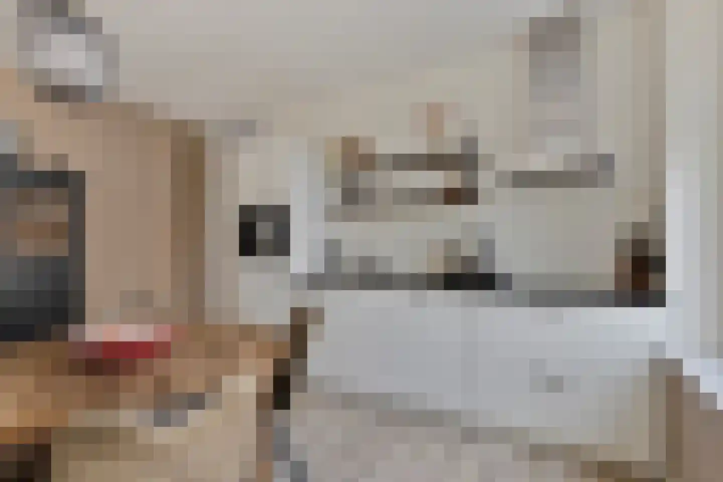 Clarissenhof 275 Tilburg thumbnail 7