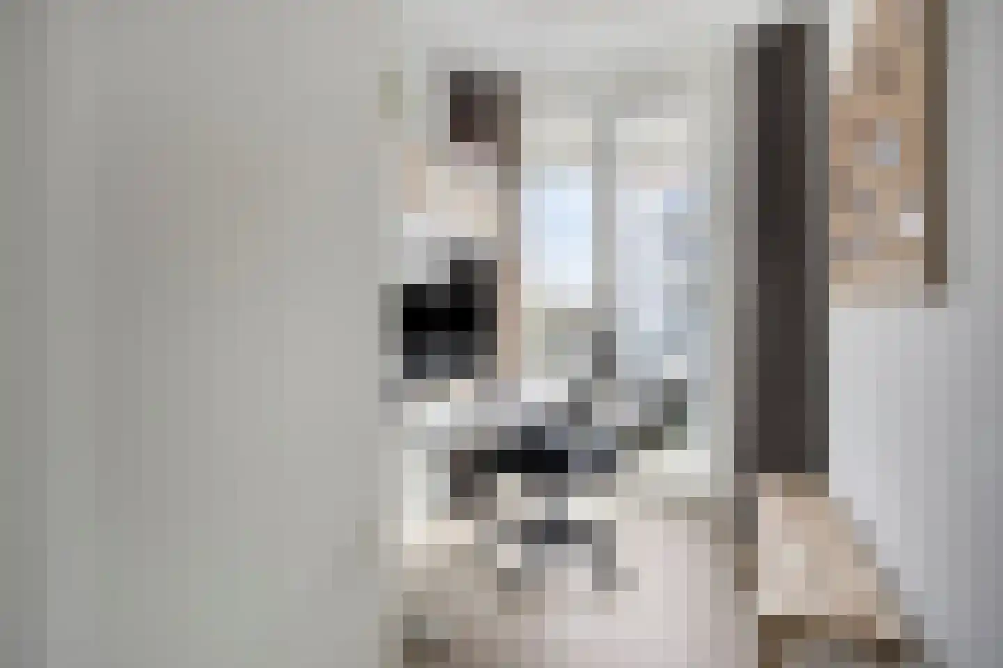 Clarissenhof 280 Tilburg thumbnail 21