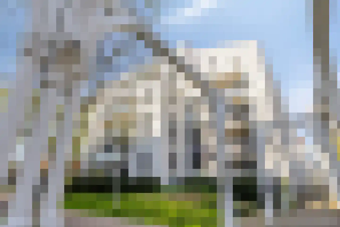 Clarissenhof 282 Tilburg thumbnail 36