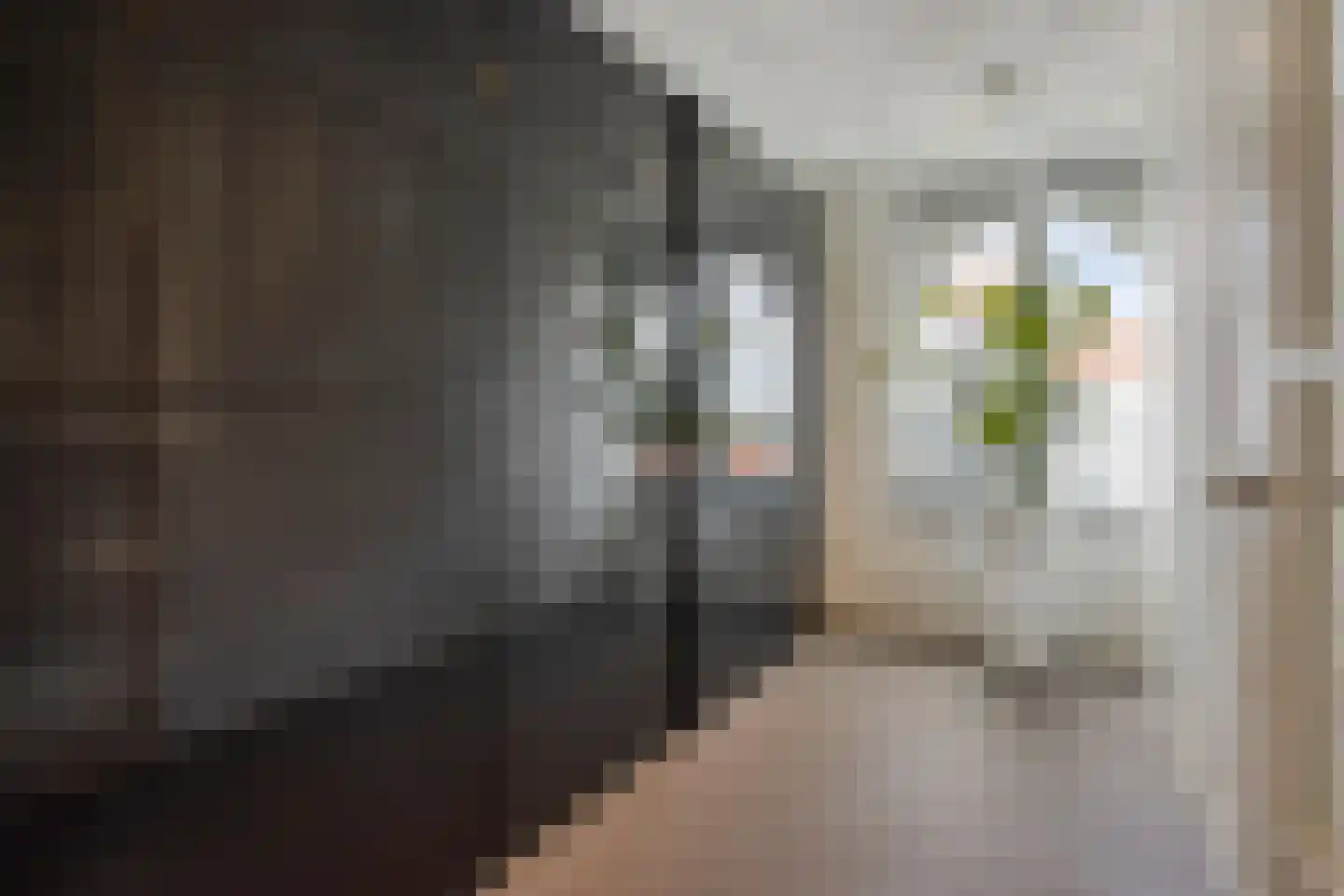 Clarissenhof 295 Tilburg thumbnail 23
