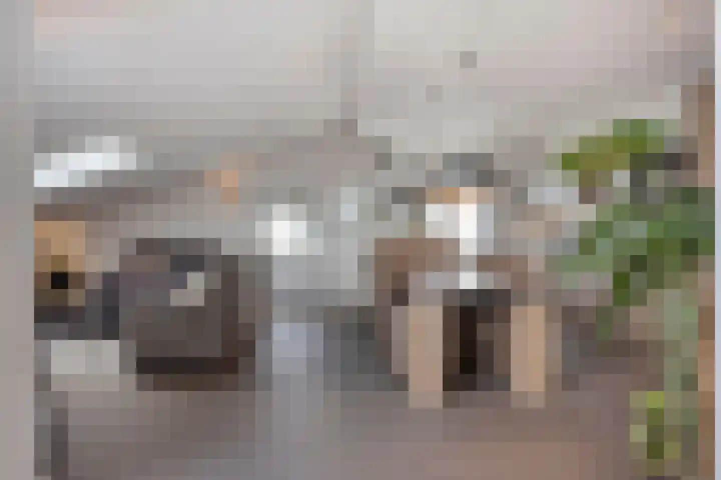 Clarissenhof 295 Tilburg thumbnail 4