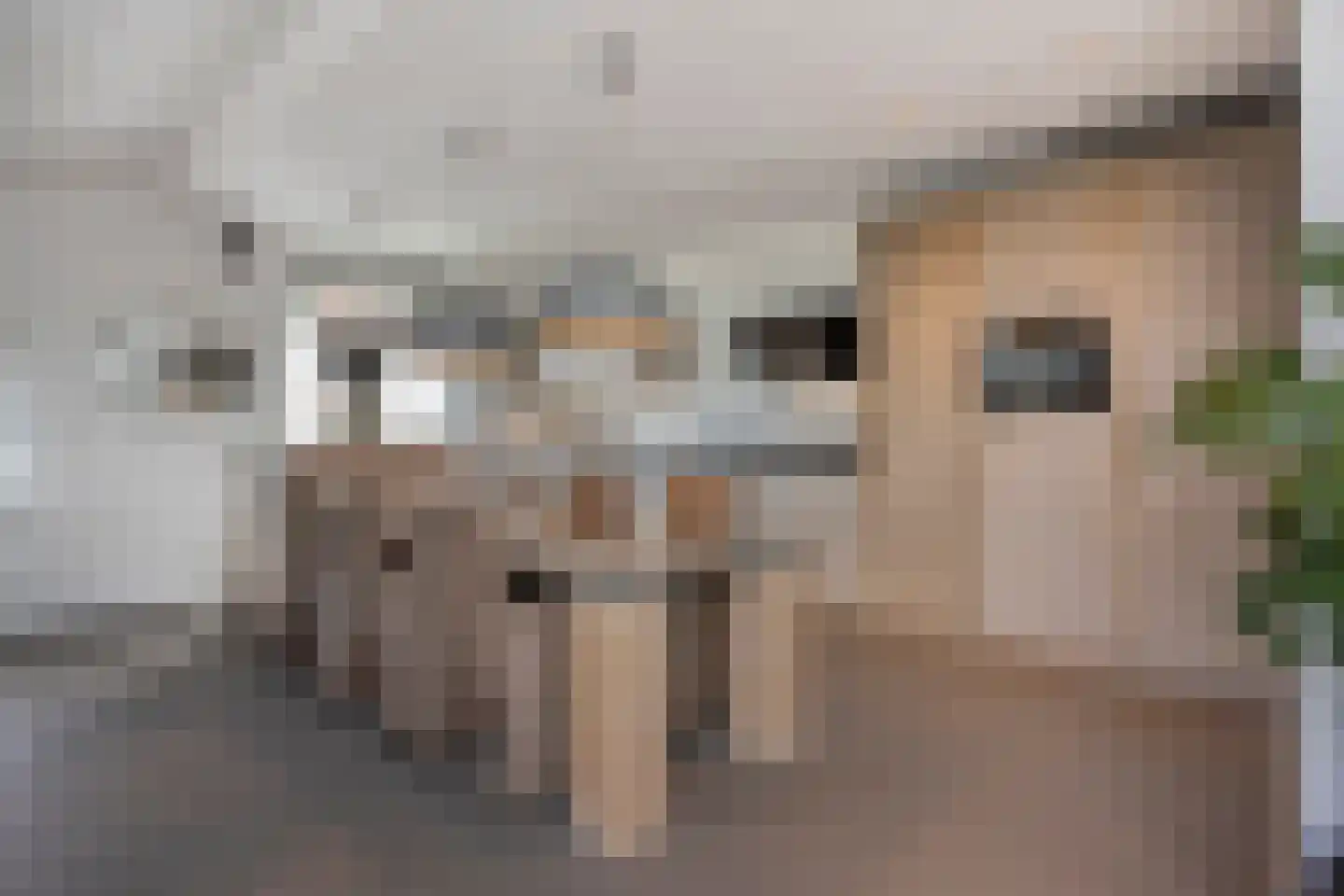 Clarissenhof 295 Tilburg thumbnail 5