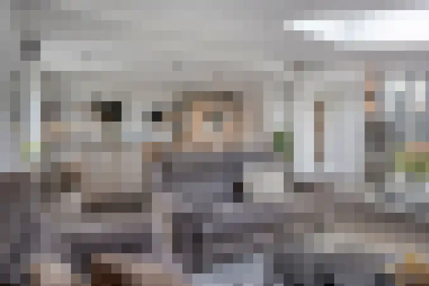 Clarissenhof 295 Tilburg thumbnail 8