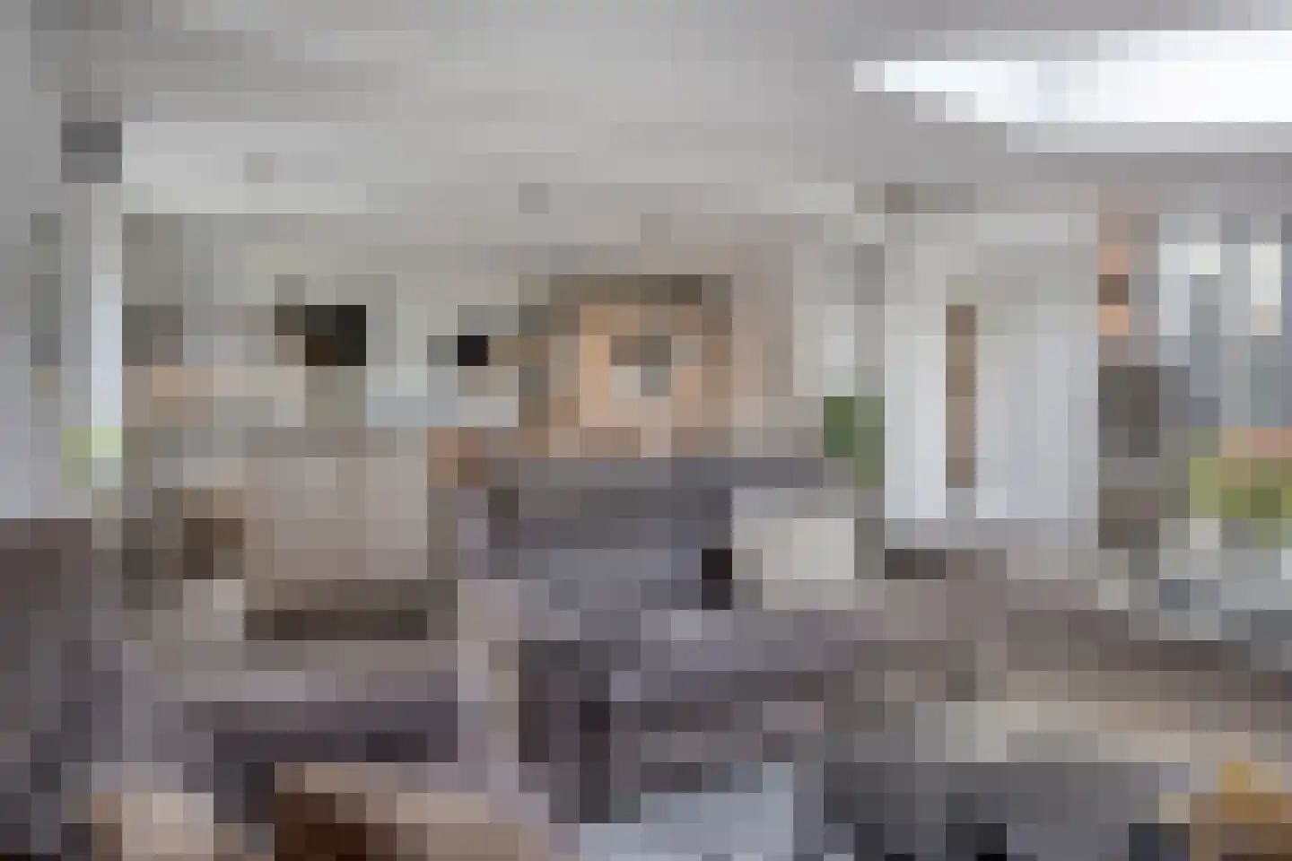 Clarissenhof 295 Tilburg thumbnail 9