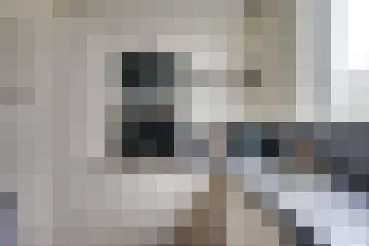 Clarissenhof 4 Vianen thumbnail 21
