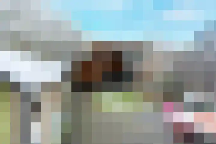 Clarissenhof 4 Vianen thumbnail 26