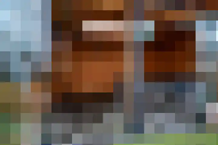 Clarissenhof 4 Vianen thumbnail 30