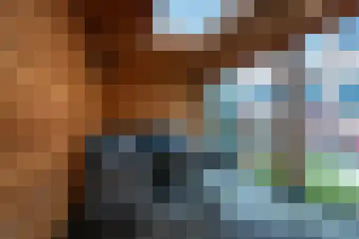 Clarissenhof 4 Vianen thumbnail 32