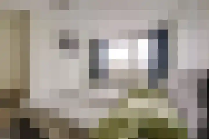 Clarissenhof 4 Vianen thumbnail 39