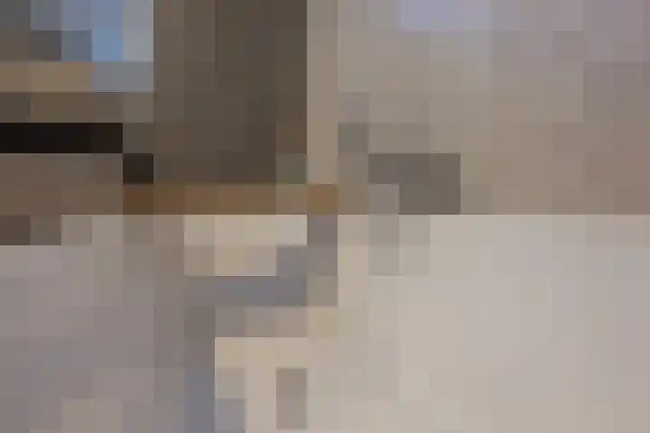 Clarissenhof 4 Vianen thumbnail 46