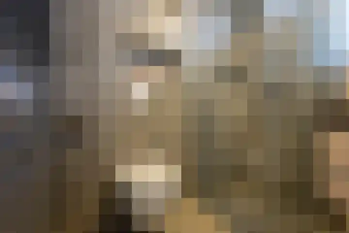 Clarissenhof 4 Vianen thumbnail 47