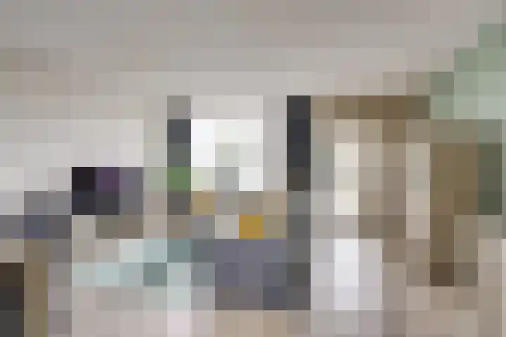 Clarissenhof 4 Vianen thumbnail 6