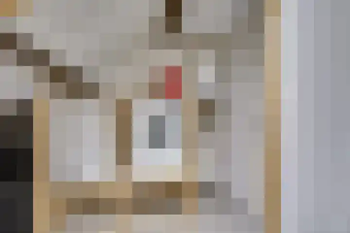 Clarissenhof 4 Vianen thumbnail 60