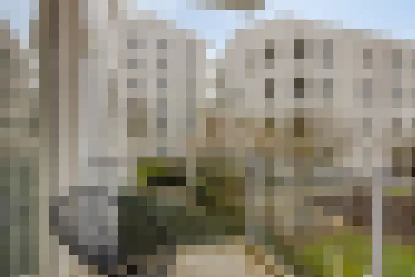Clarissenhof 473 Tilburg thumbnail 17