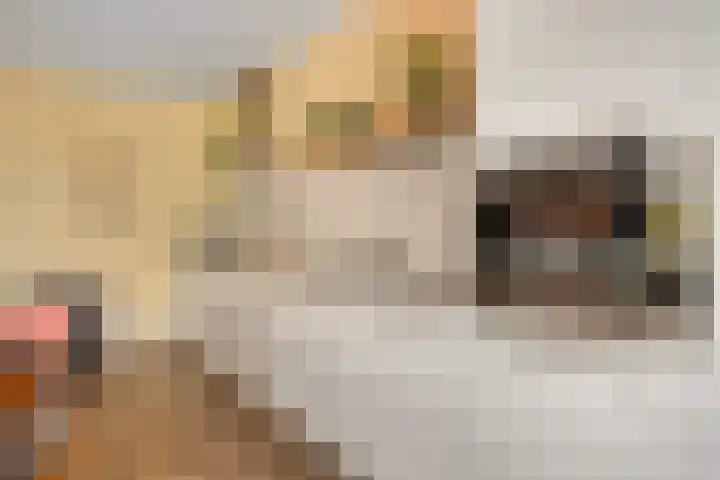 Clarissenhof 478 Tilburg thumbnail 12