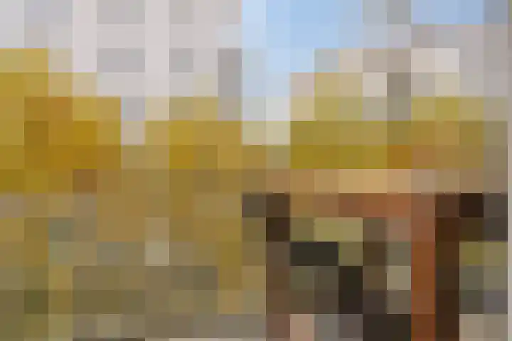 Clarissenhof 478 Tilburg thumbnail 16